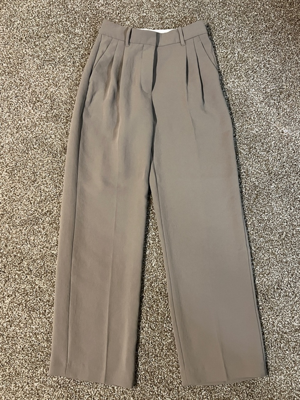 Aritzia Taupe Wide-Leg Pleated Trousers
